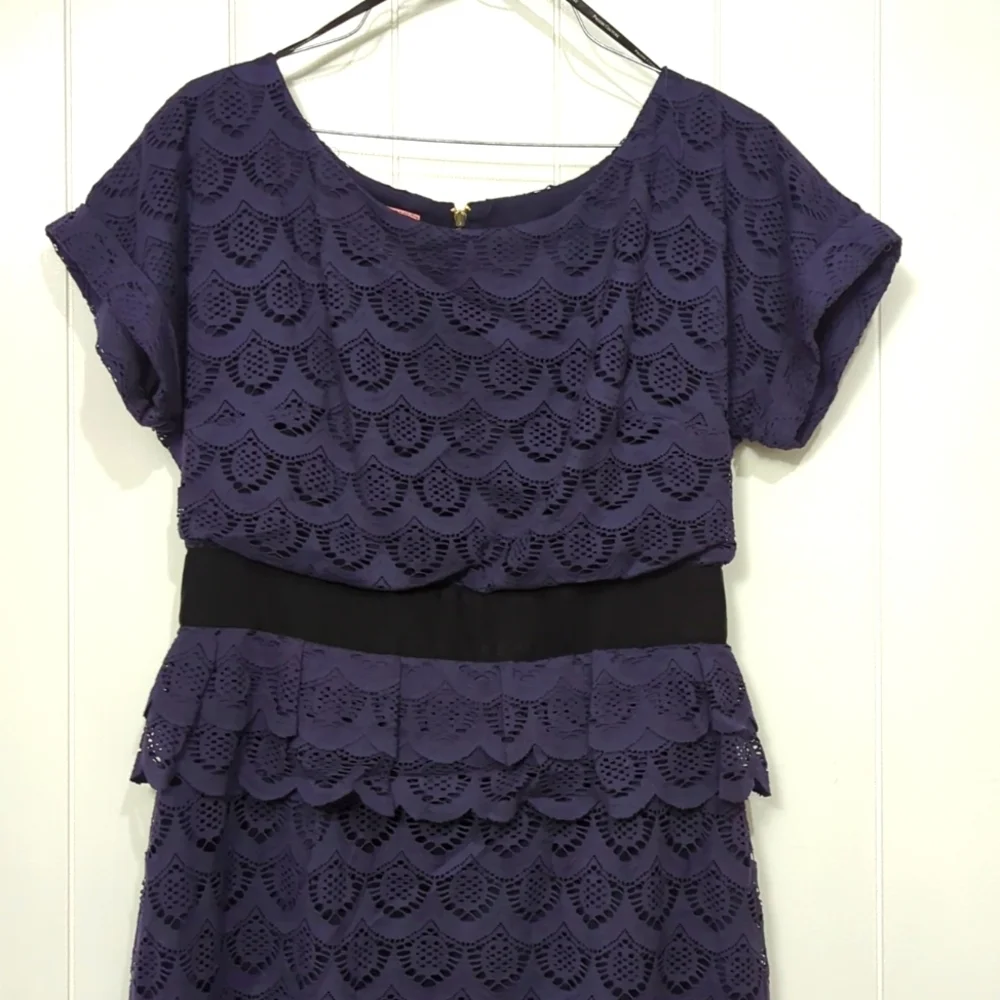 Euc Phoebe Couture Blueish Purple Dress